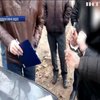 В Запоріжжі підполковника поліції затримали за хабарництво