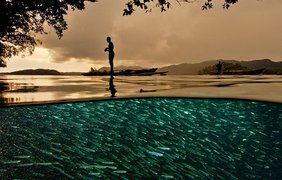 Невероятные фото природы, сделанные на грани двух миров (фото: BBC.National Geographic. Discovery)