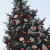 Новый год 2017: главную елку страны зажгут 19 декабря 