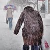 Снегопад в Украине: в четырех областях ограничили движение транспорта