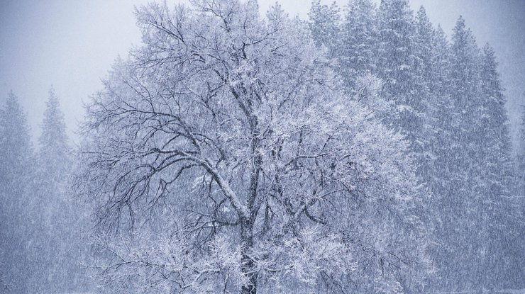 Снегопад в Украине: 44 населенных пункта остались без света