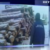На Черкащині чиновники лісгоспу розікрали лісу на 2 млн гривень