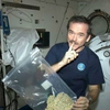Радиация уничтожает эффект от марихуаны в космосе - ученые