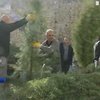 Санта Клаус в Ізраїлі безкоштовно роздає ялинки