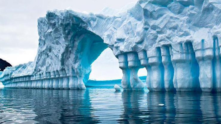 Исследователи засняли удивительный подводный мир Антарктики (фото: agentika.com)