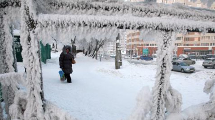 Фото: из открытых источников