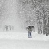 Погода на выходные: Украину засыпет снегом 