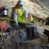 В Лос-Анджелесе во время строительства метро рабочие наткнулись на мамонта (фото)