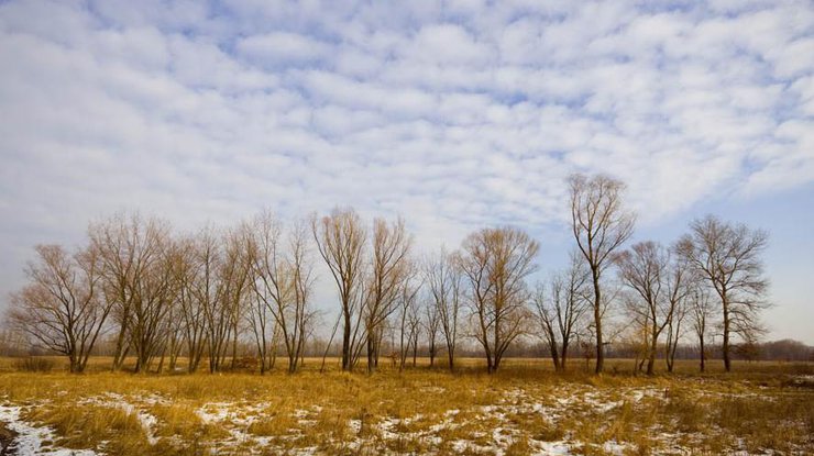 Погода в 2016 году установит температурный рекорд. Фото photoclub.com.ua