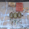 В центре Днепропетровска обнаружили взрывчатку и гранаты (видео)