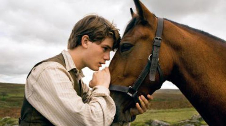 Способность воспринимать эмоции человека позитивно влияет на склонность к обучению у лошадей