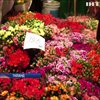 У Таїланді закривають 200-річний квітковий ринок