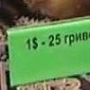 На Харківщині бабак спрогнозував курс долара (відео)