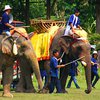 В Таиланде разъяренный слон затоптал туриста