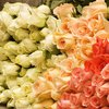 Житель Днепропетровска пытался ввезти в Украину 2,5 тонны роз