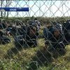 Европа потеряет сотни миллиардов евро из-за отмены Шенгена