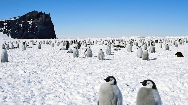 Ученые рассказали о рекордной температуре в Антарктиде