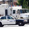 В Калифорнии полиция поймала осла-единорога