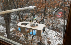 В Харькове птицы едят из здания Верховной Рады
