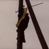 Военные вывесили флаг Украины у позиций ДНР (видео)