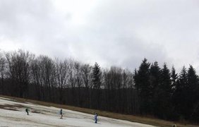 Лыжные соревания в грязи. Фото: prozak.info