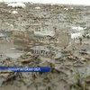На Закарпатье лыжники возмущаются проведением соревнований на грязи