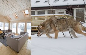 Норвежский парк "Wolf Lodge"