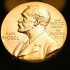 В Нобелевскую премию мира поступило рекордное количество предложений
