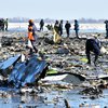 Из "черного ящика" разбившегося в Ростове Boeing извлекли информацию