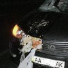 В Киеве под колесами Lexus погиб пешеход (фото)