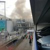 Взрыв в аэропорту Брюсселя совершил смертник
