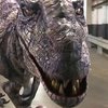 Динозавр до ужаса напугал австралийцев (видео)