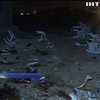 Во взрыве на стадионе Ирака погиб 41 человек