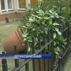 Ураган в Лондоне повалил горшки с цветами и согнул кран