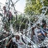 Латвия определилась с высотой стены на границе с Россией