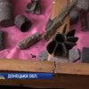 У прифронтовому Павлополі у школі відкрили експозицію про війну