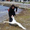 В Македонии туристка замучила лебедя ради фото