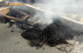 В Одессе атаковали консульство России и сожгли чучело Путина