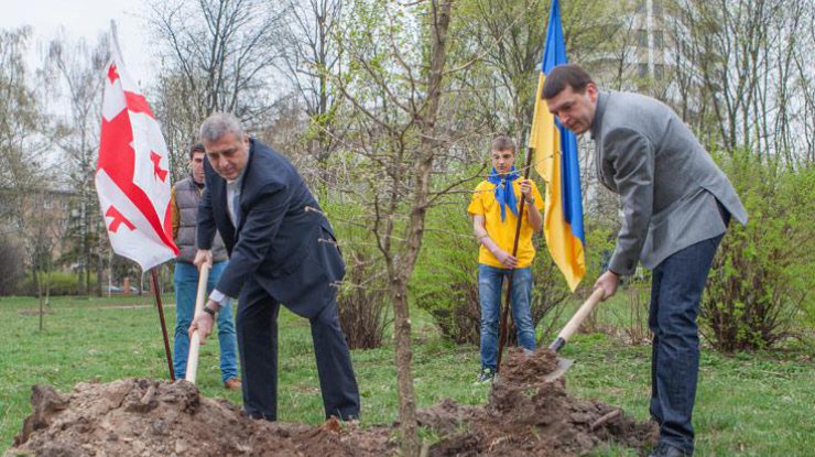 В Киеве появилась аллея украино-грузинской дружбы