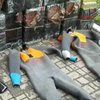 На Закарпатті затримали контрабандистів-водолазів