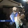 В Японії після землетрусу з-під завалів витягли дівчинку