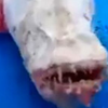 В Таиланде поймали зубастое чудовище без глаз (видео)