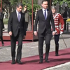 Болгарія та Польща вимагають від НАТО зміцнити східні кордони