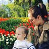 Тюльпаны на Певческом поле заполонили Instagram (фото)