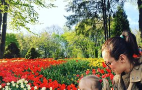 Тюльпаны. Фото из Instagram: nomerochek