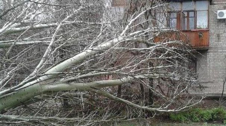 В Украине из-за бури 41 населенный пункт остался без света