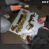 На Івано-Франківщині поліцейський торгував боєприпасами