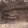 На Донеччині знайшли братську могилу радянських солдат
