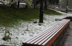 Львов в снегу Фото:lviv.depo.ua