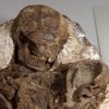 В Тайване нашли древние останки матери с младенцем на руках